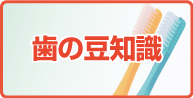 毎月更新・歯の豆知識