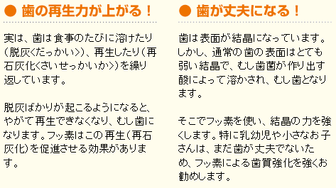 フッ素の2つの効果